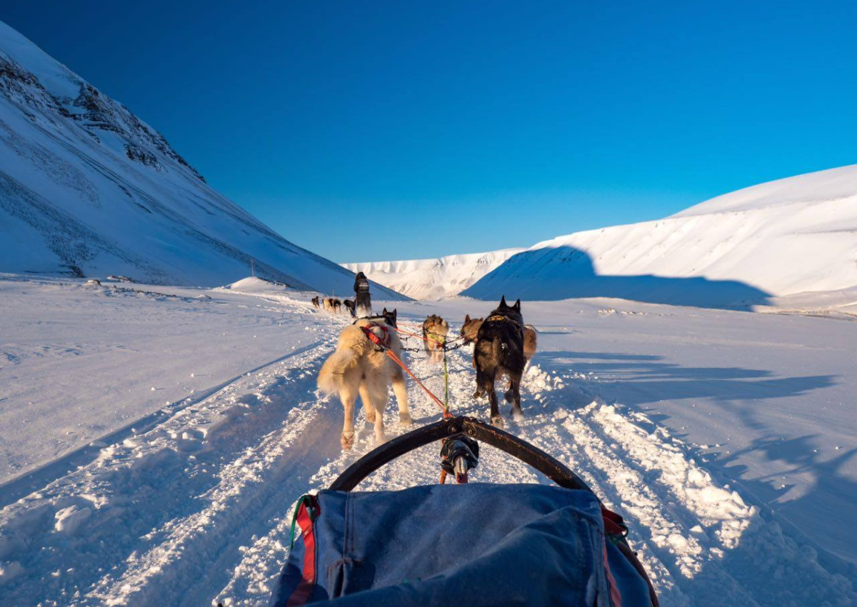 You are currently viewing Svalbard: The Arctic Wonders!