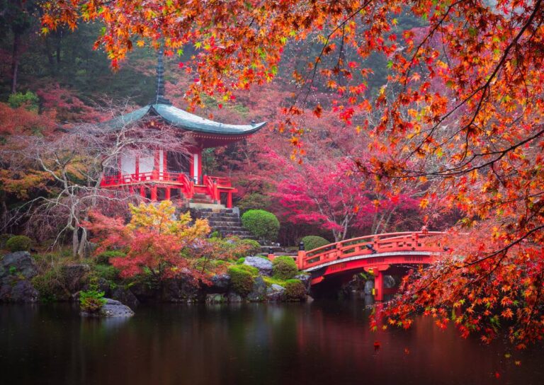 A Traveler’s Guide to Stunning Photography on the Go